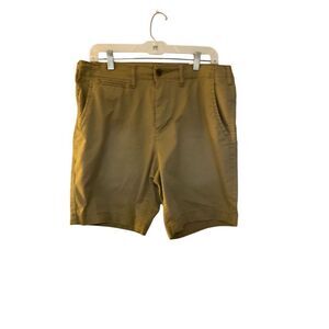 American eagle NWT men’s flex nine lived in khaki shorts/31